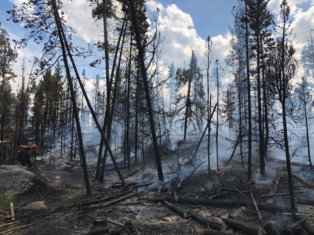 New Fork Fire